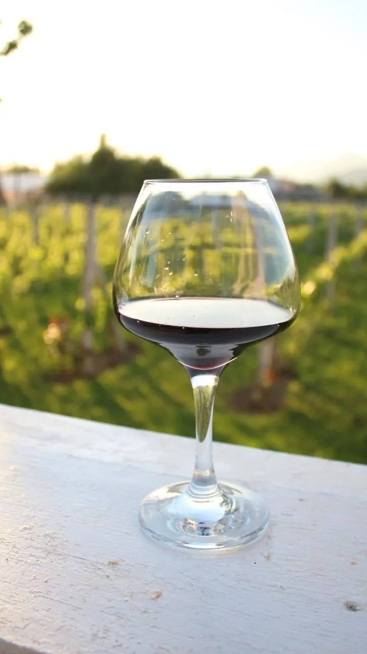 Wine glass in vineyard